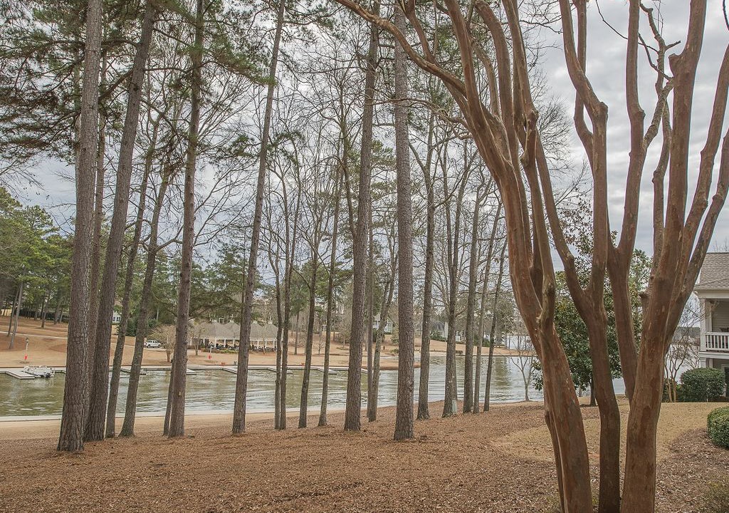 Photo of Others in Greensboro