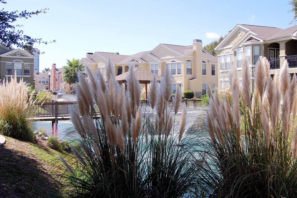 Photo of Outdoor in Gulfport