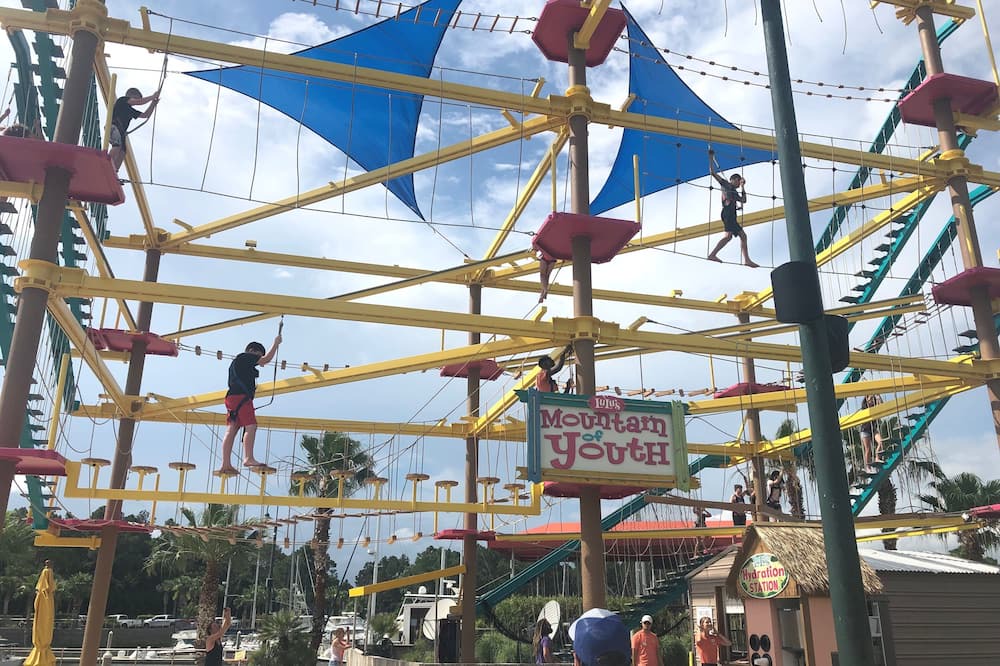 Photo of Others in Gulf Shores