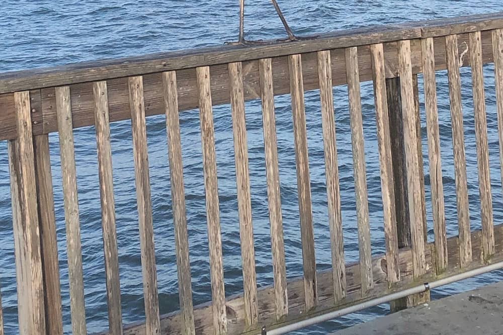 Photo of Others in Gulf Shores