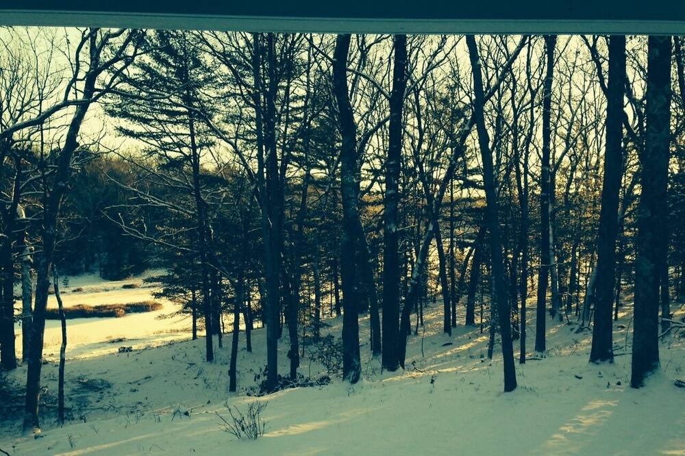 Photo of Others in Baldwin