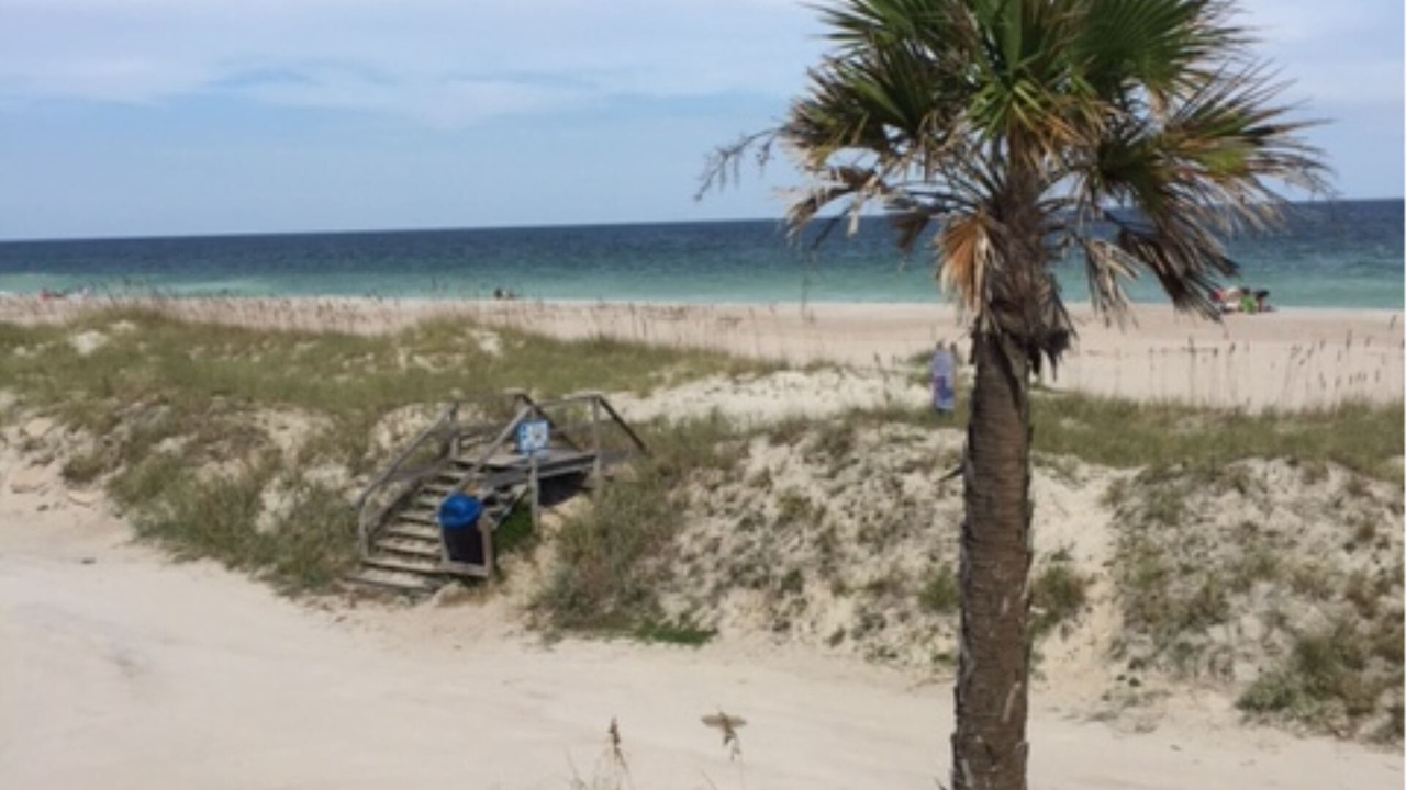 Photo of Others in Fernandina Beach