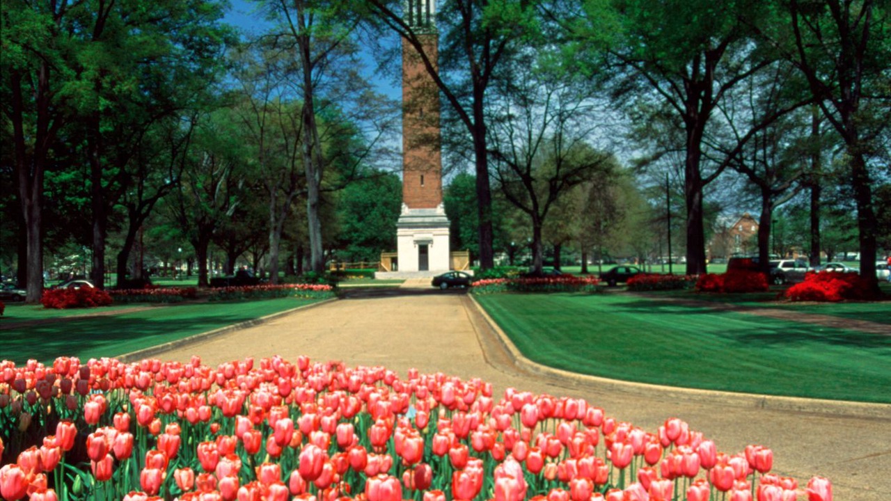 Photo of Others in Tuscaloosa