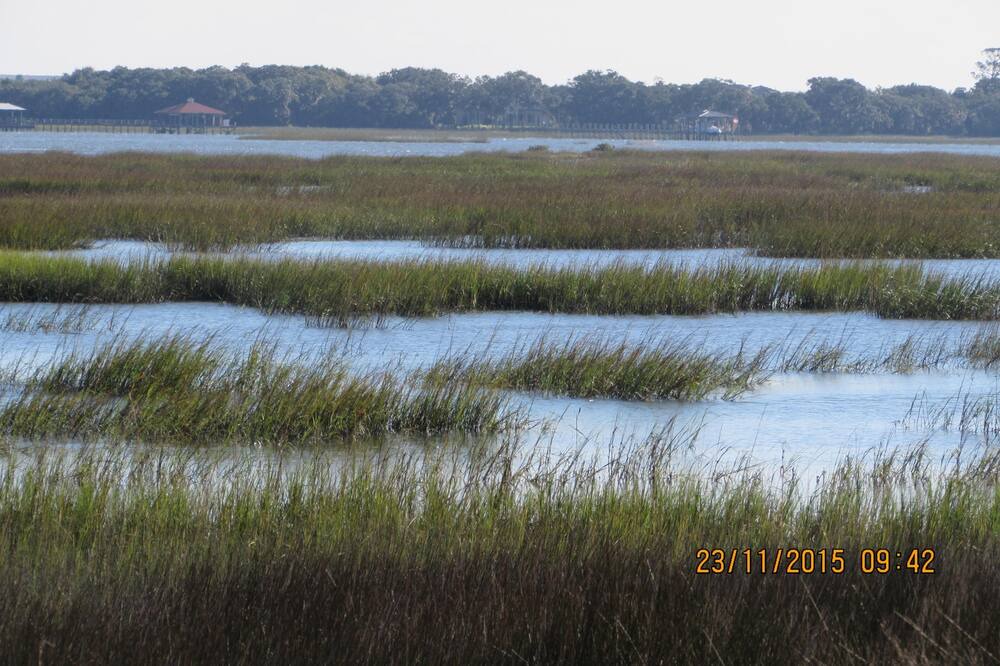 Photo of Others in Saint Augustine Shores