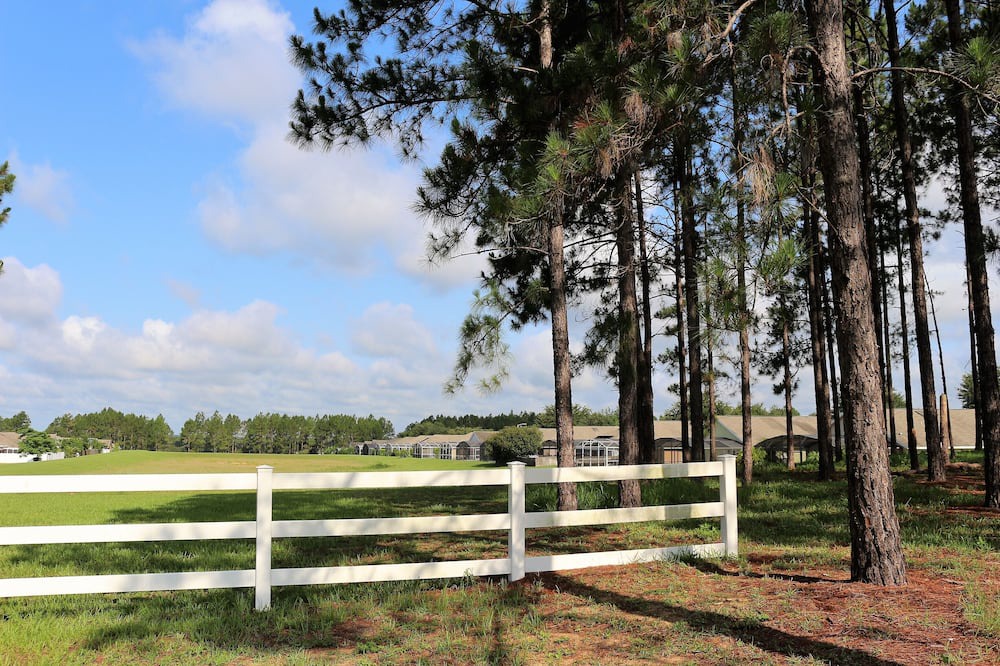 Photo of Others in Florida Pines