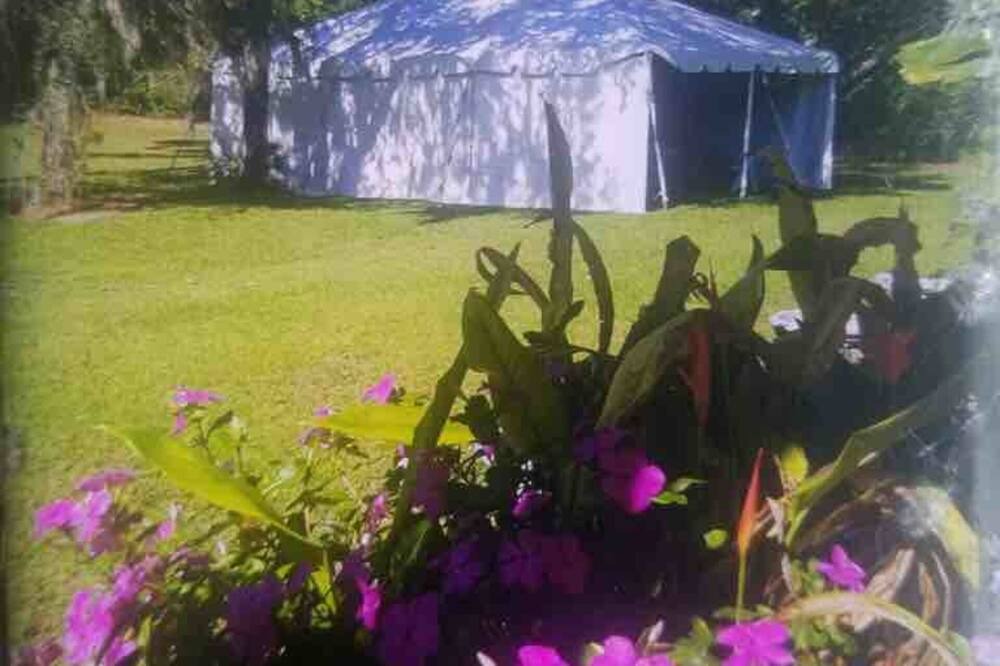 Photo of Outdoor in Winter Springs