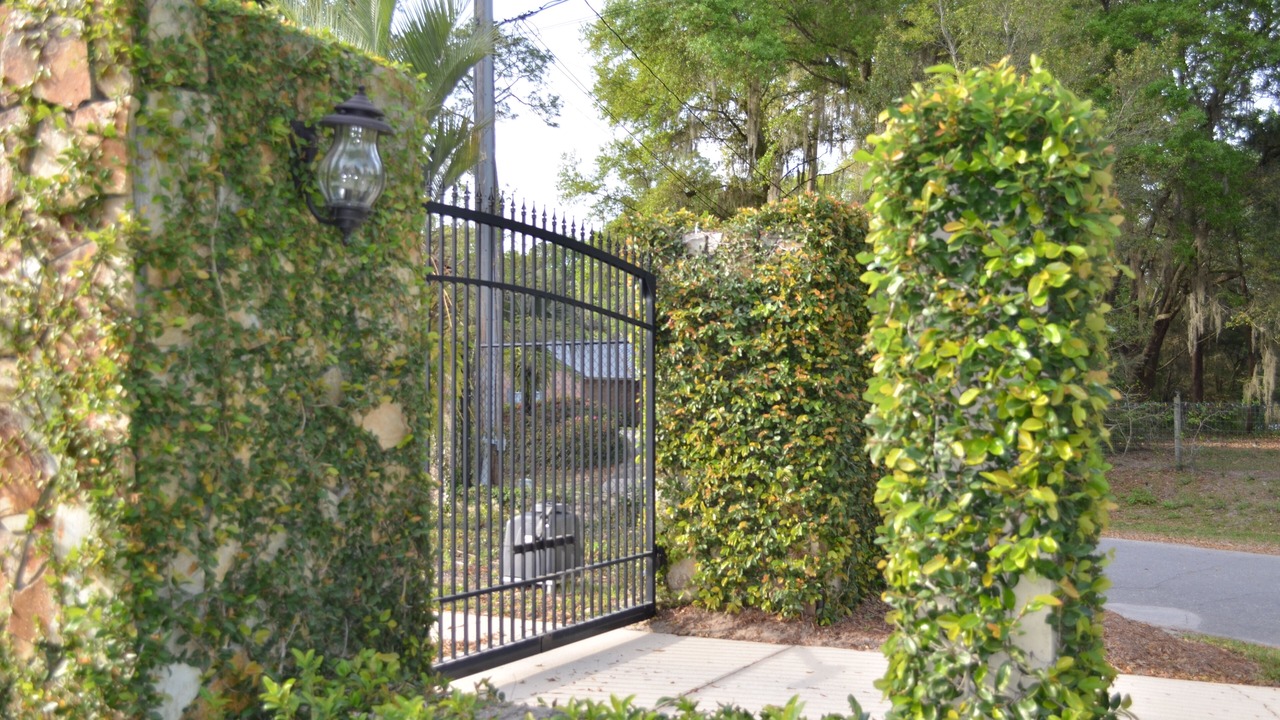 Photo of Outdoor in Melrose