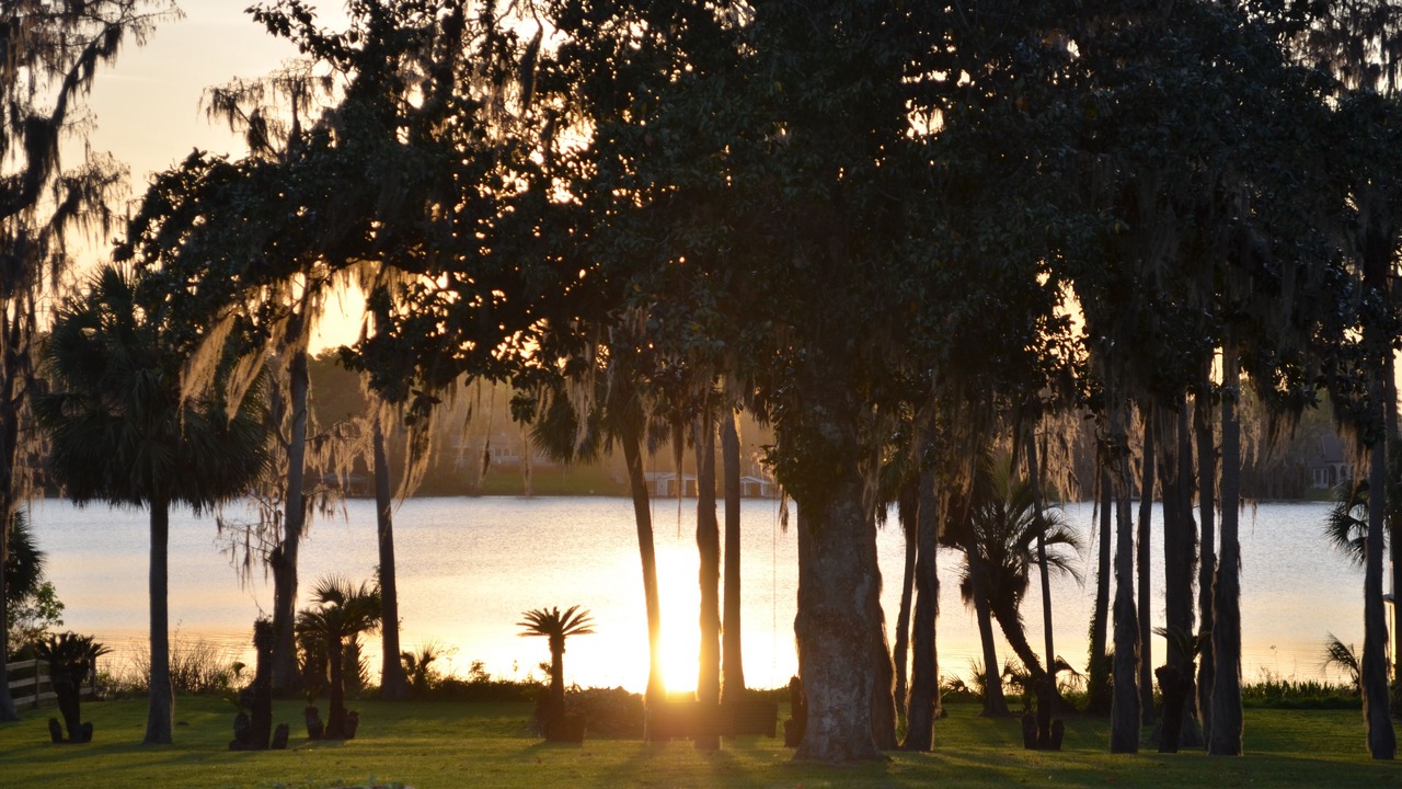 Photo of Outdoor in Melrose