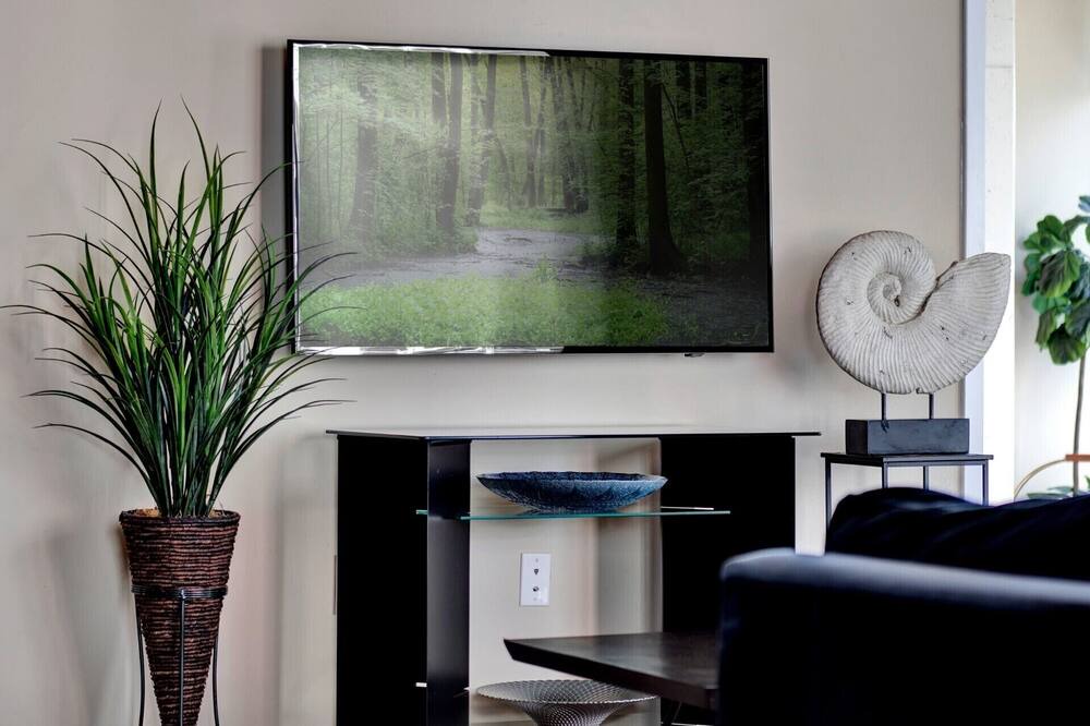 Photo of Livingroom in South Eola