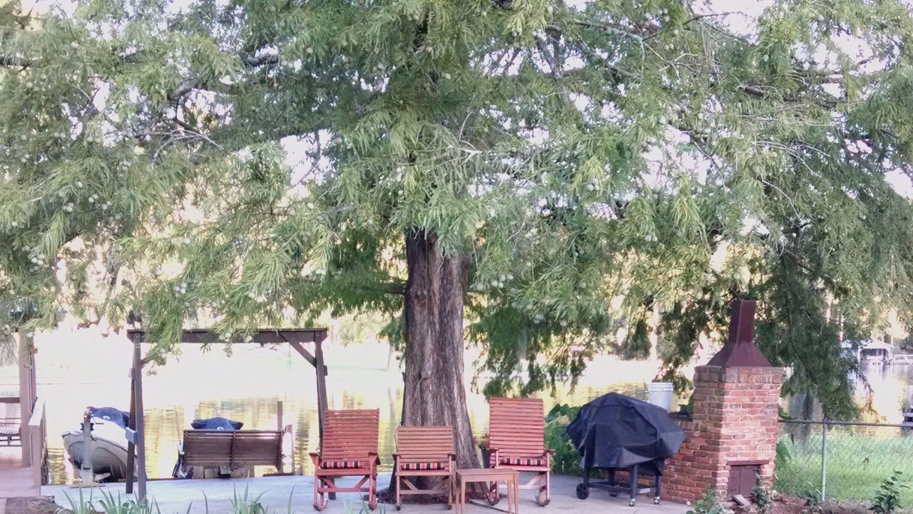 Photo of Outdoor in Cordele
