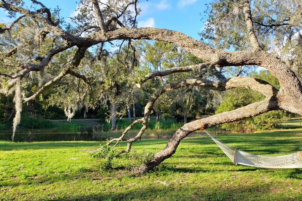 Photo of Outdoor in Crescent City
