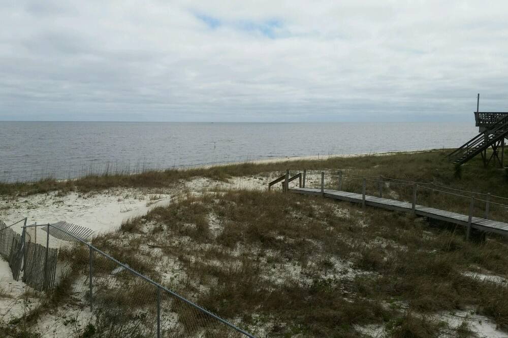 Photo of Others in Alligator Point