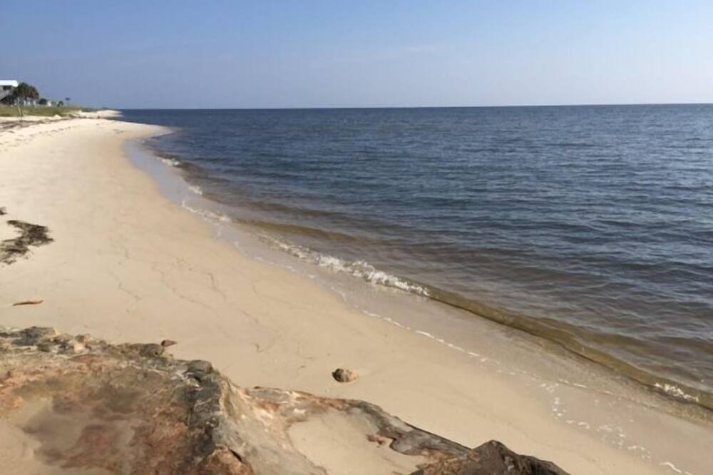 Photo of Others in Alligator Point