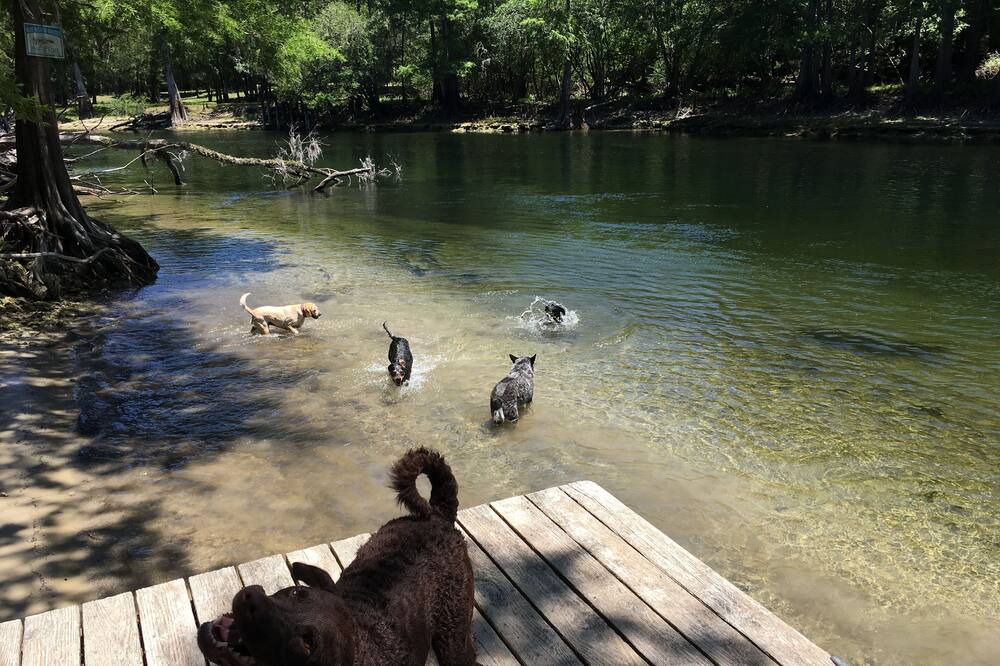 Photo of Others in Branford