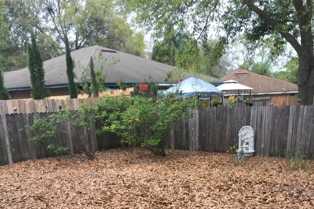 Photo of Others in Mount Dora