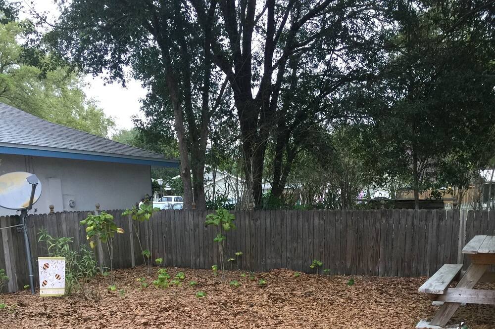 Photo of Others in Mount Dora