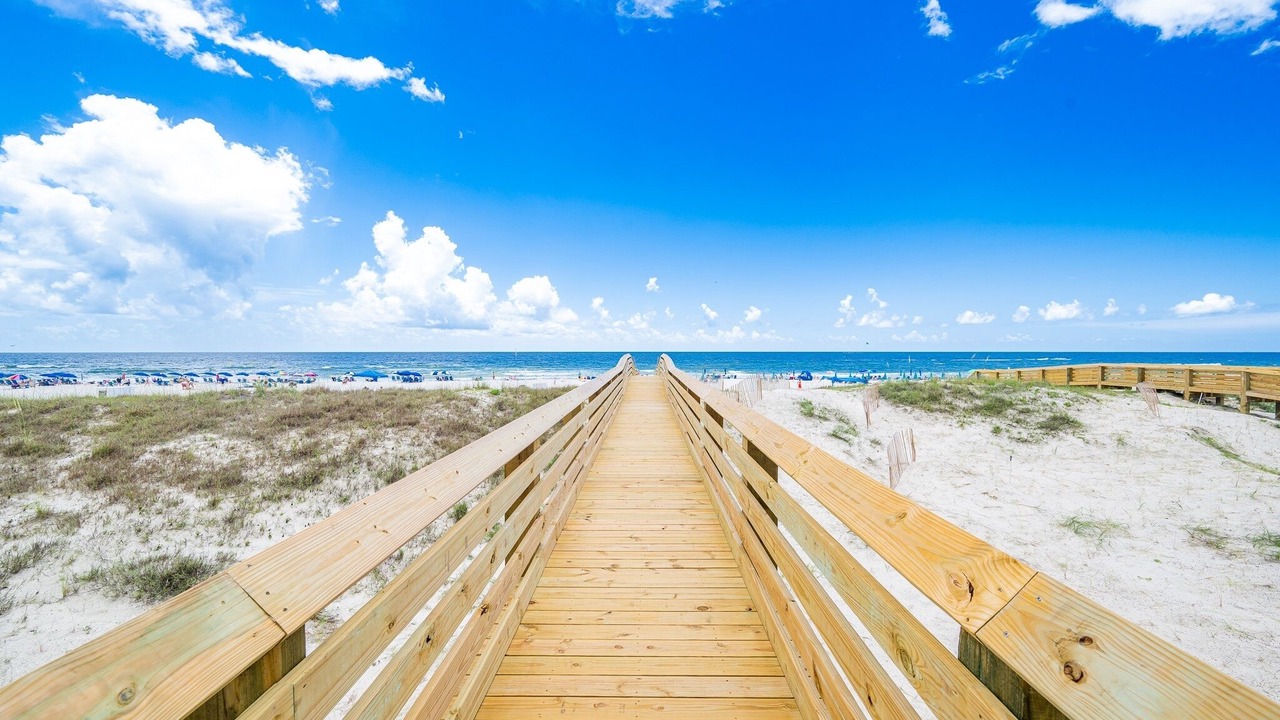 Photo of Others in Gulf Shores