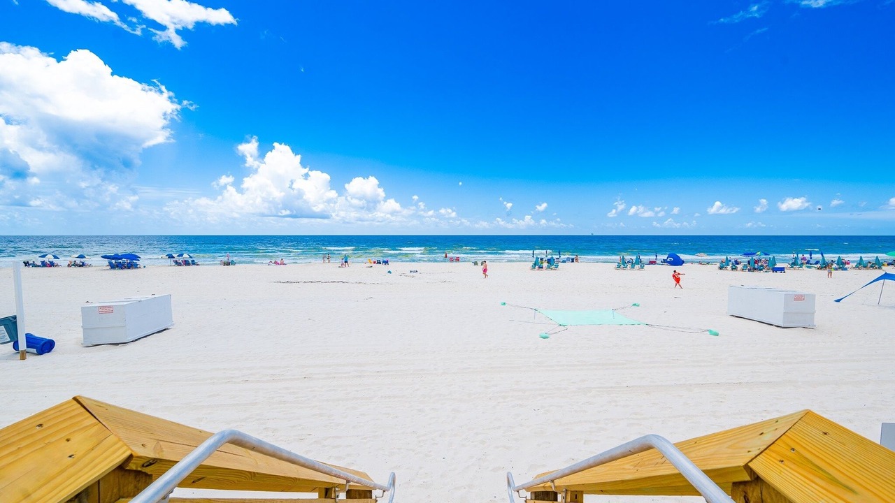 Photo of Others in Gulf Shores