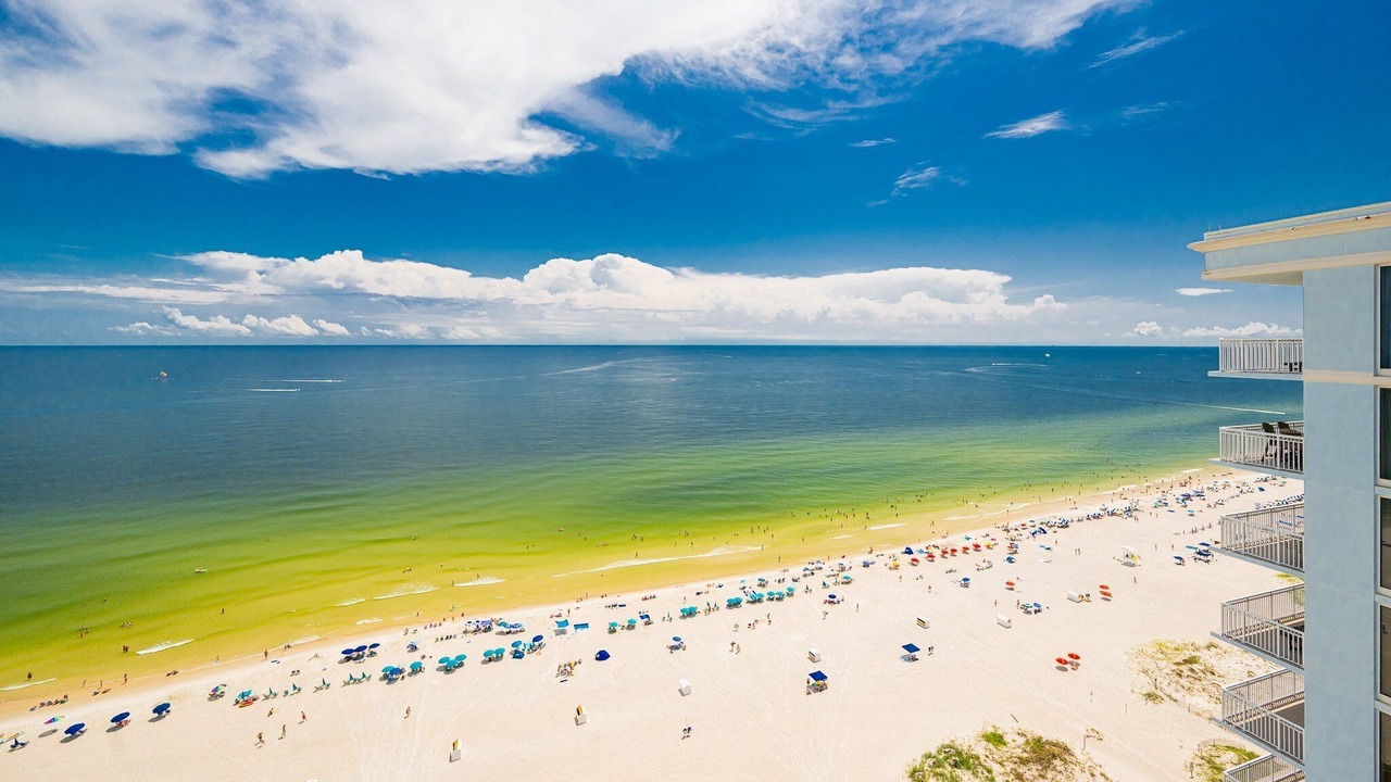 Photo of Others in Gulf Shores