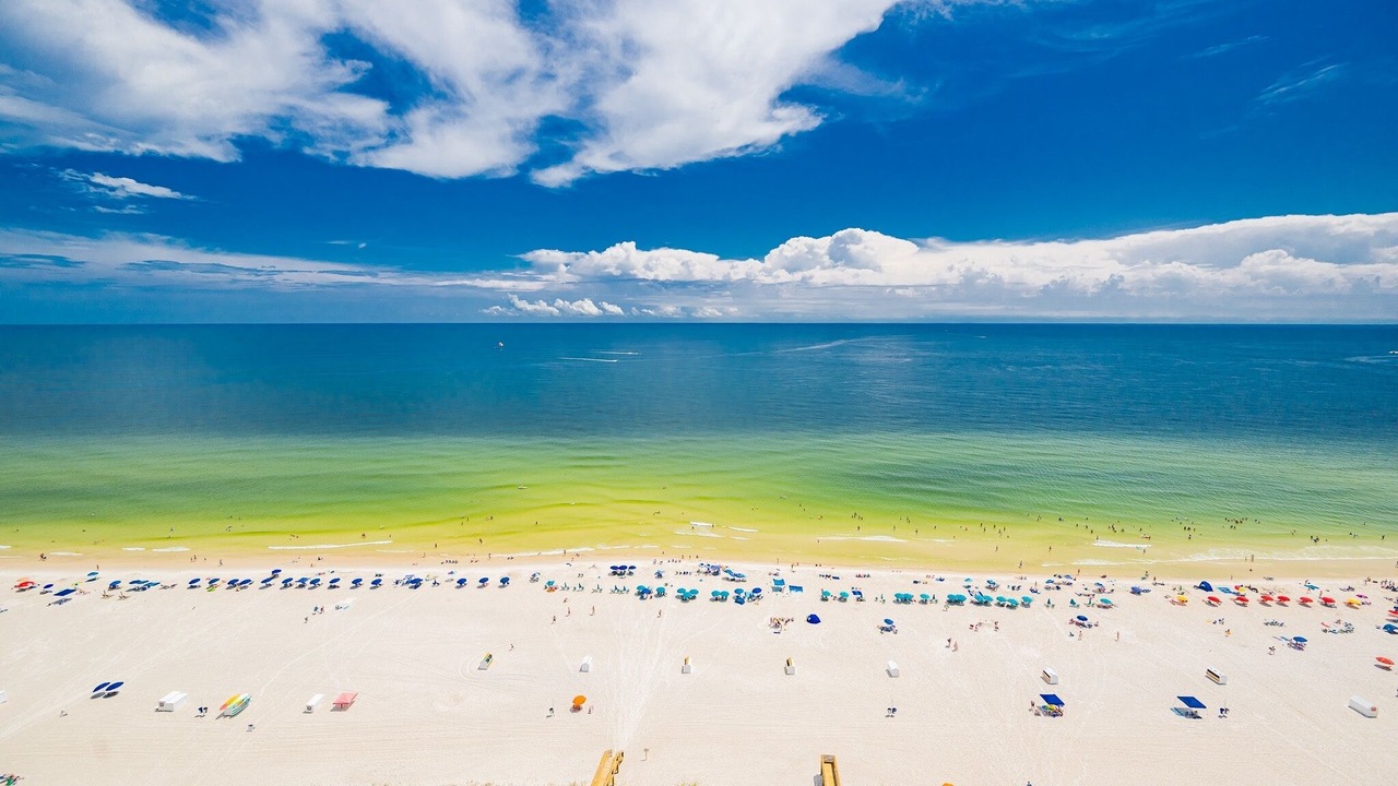 Photo of Others in Gulf Shores