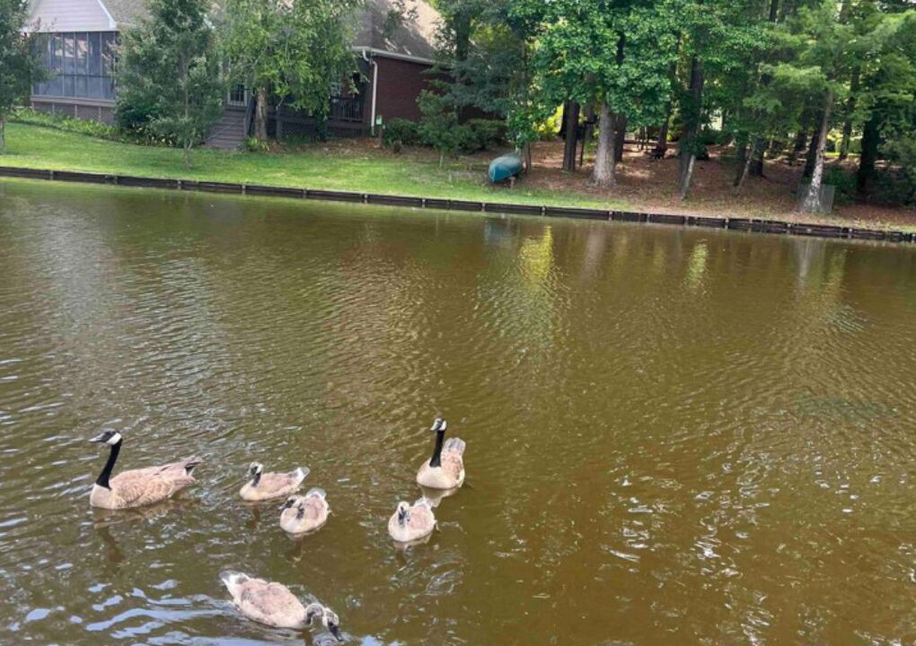 Photo of Others in Hattiesburg