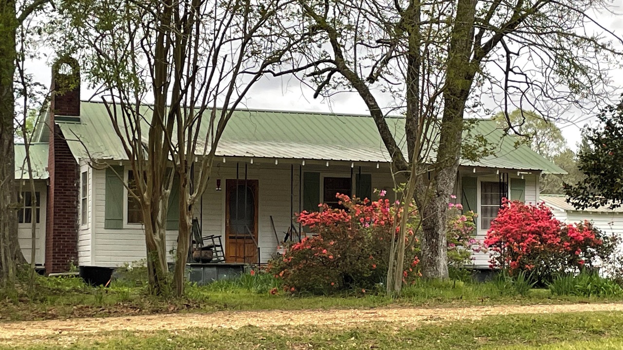 Photo of Outdoor in Eastabuchie