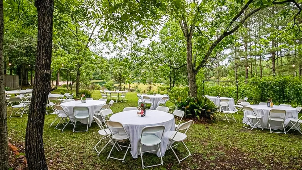 Photo of Outdoor in Wilmer