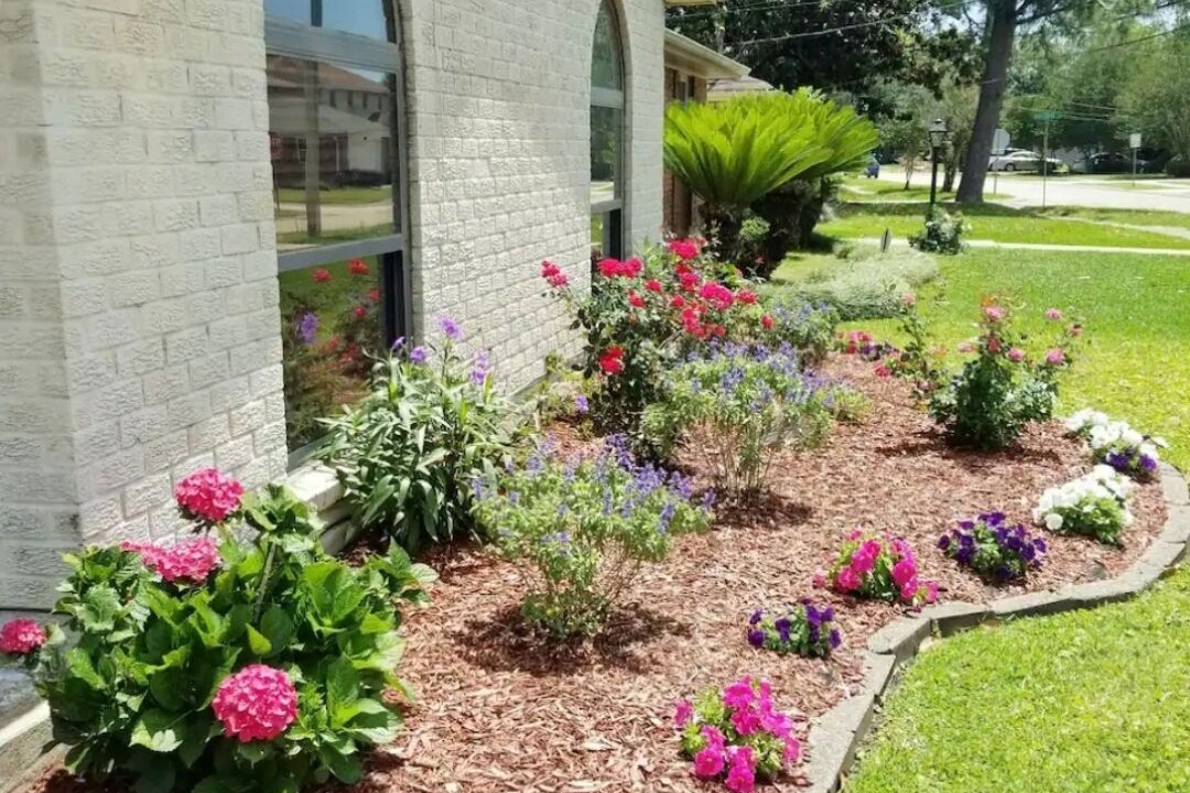 Photo of Outdoor in Metairie