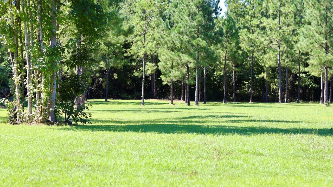Photo of Others in Beatrice