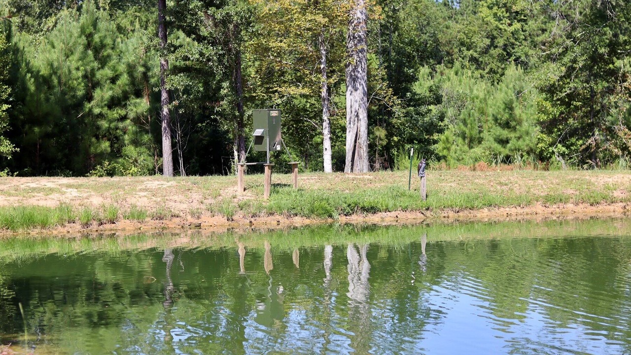 Photo of Outdoor in Beatrice