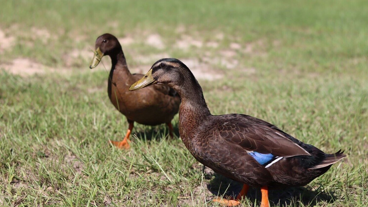 Photo of Others in Beatrice