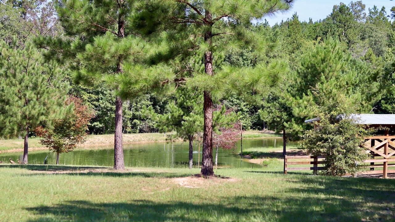 Photo of Outdoor in Beatrice