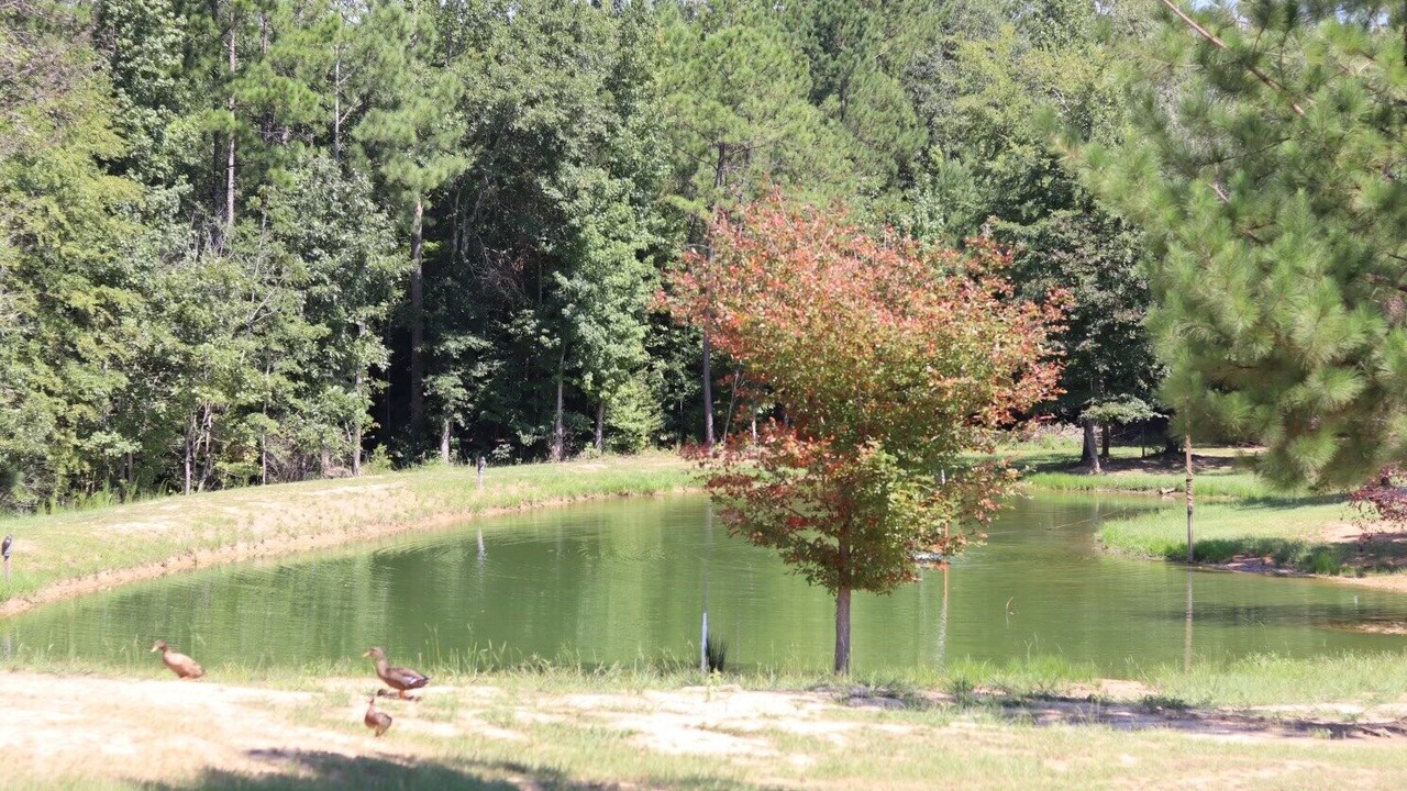Photo of Others in Beatrice