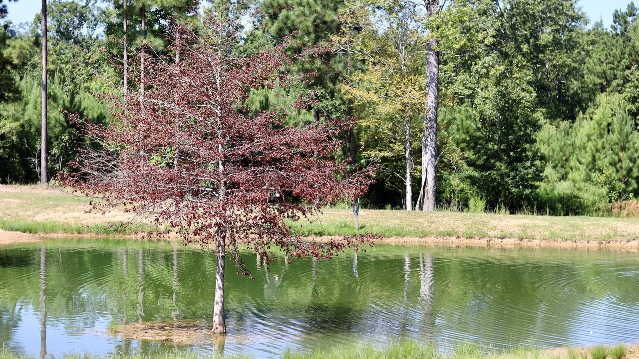 Photo of Outdoor in Beatrice