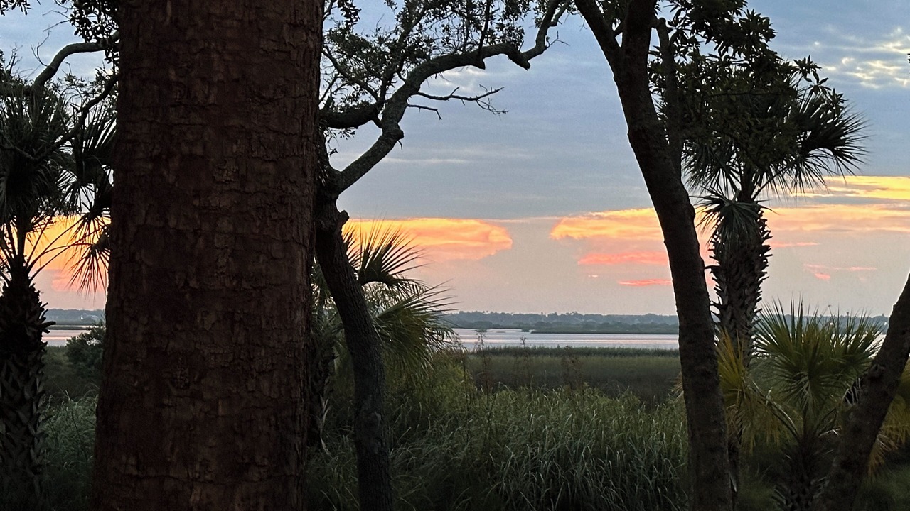 Photo of Others in Saint Augustine Shores