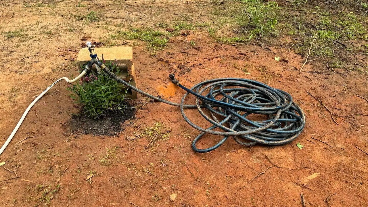 Photo of Outdoor in Milledgeville