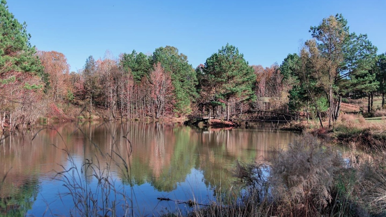 Photo of Others in St. Francisville