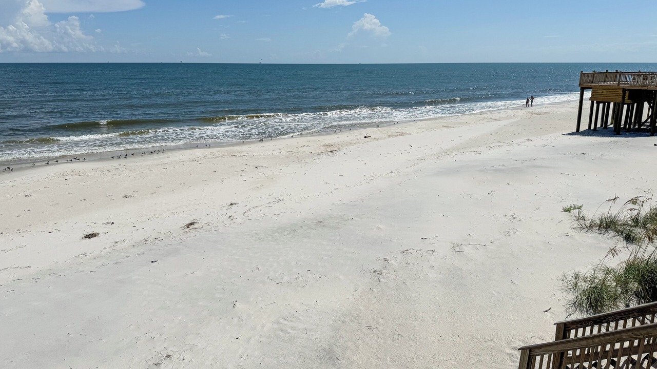 Photo of Others in Dauphin Island