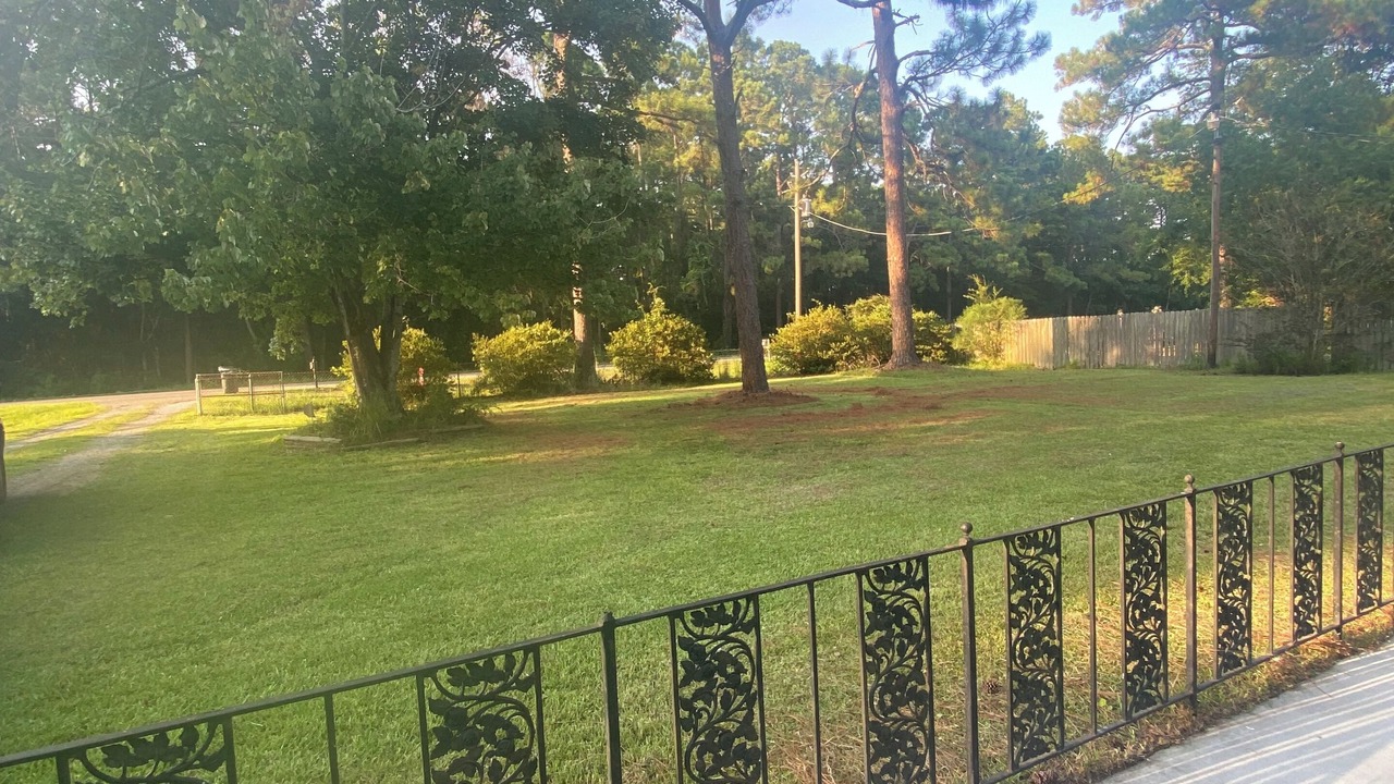 Photo of Outdoor in Saint Elmo