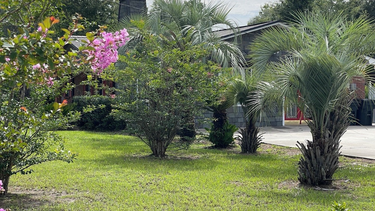 Photo of Outdoor in Lake City