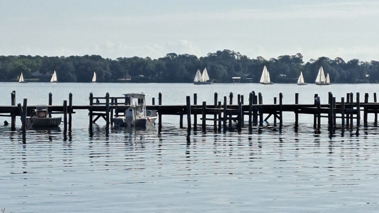 Photo of Others in Satsuma