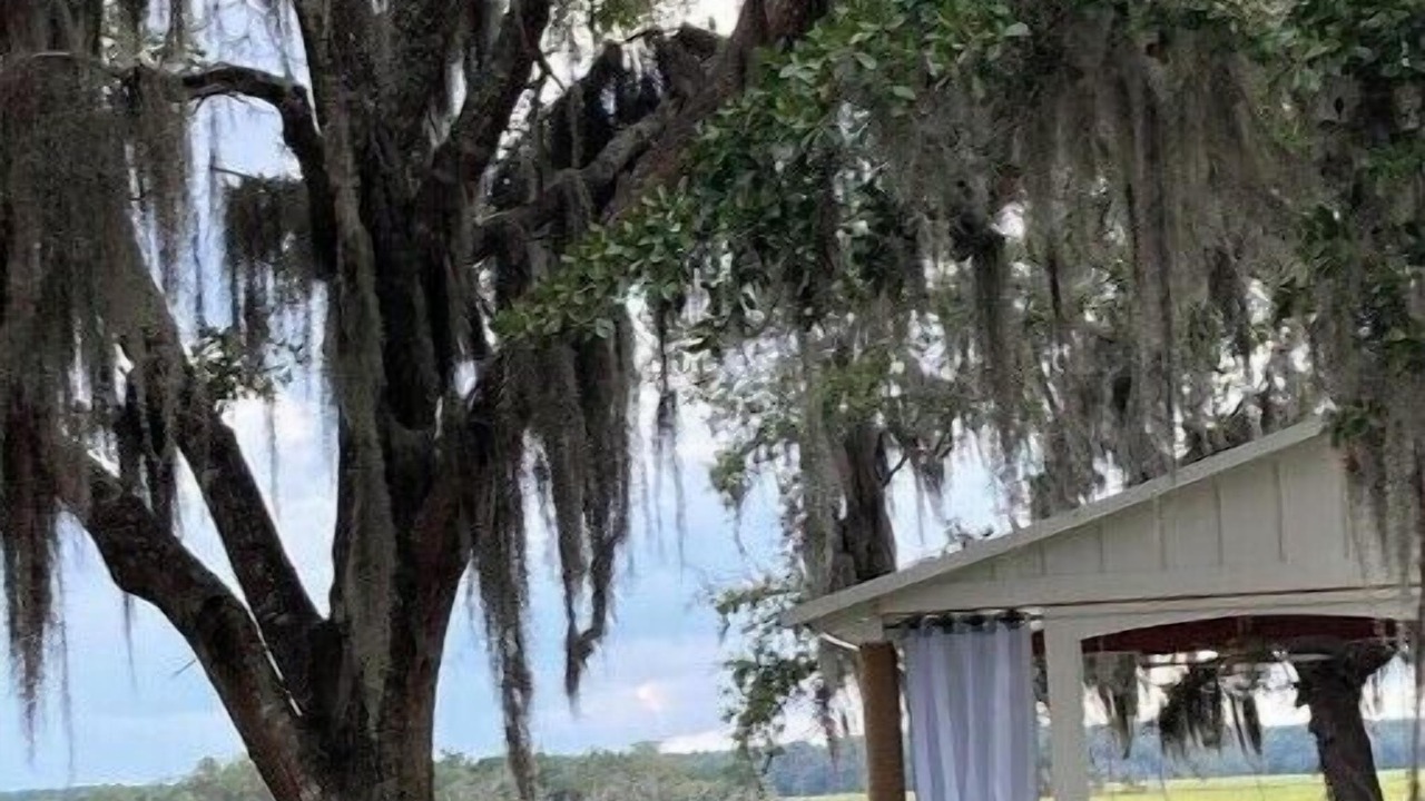 Photo of Outdoor in Midway