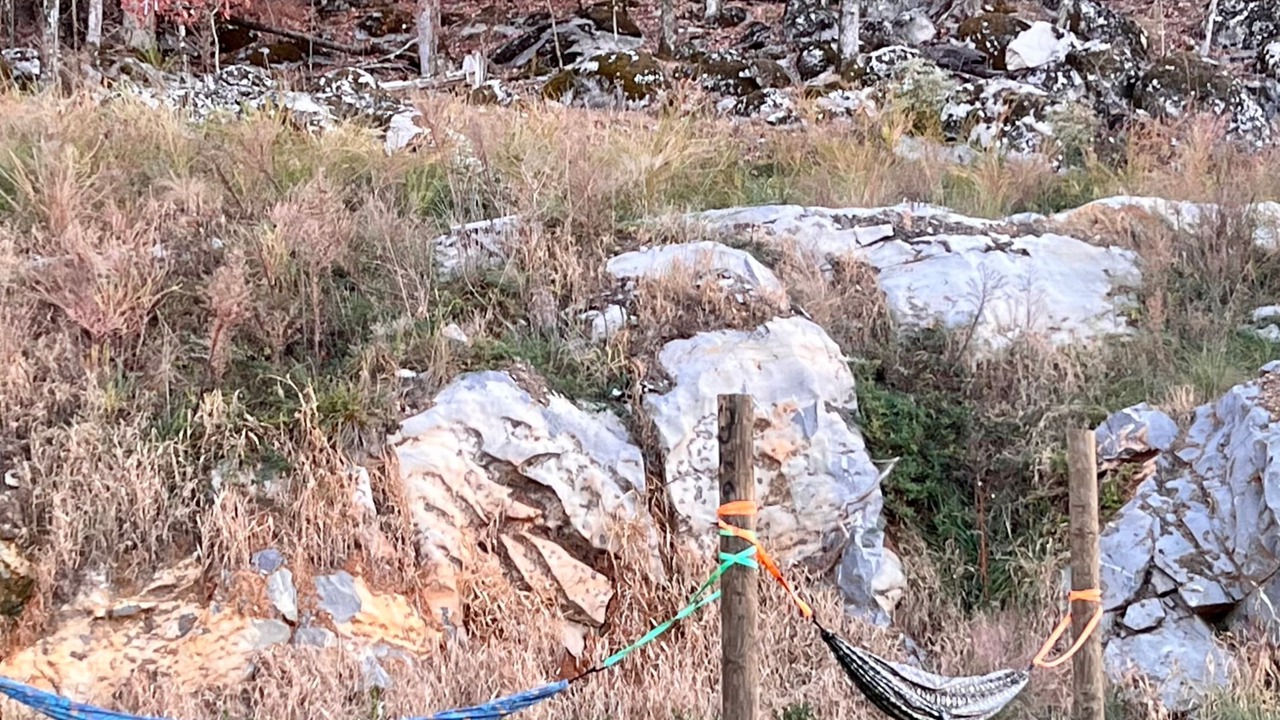 Photo of Others in Pelham