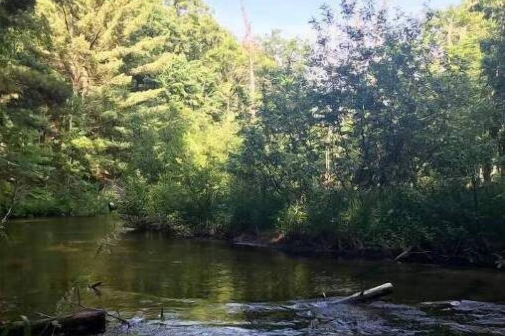 Photo of Outdoor in Irons