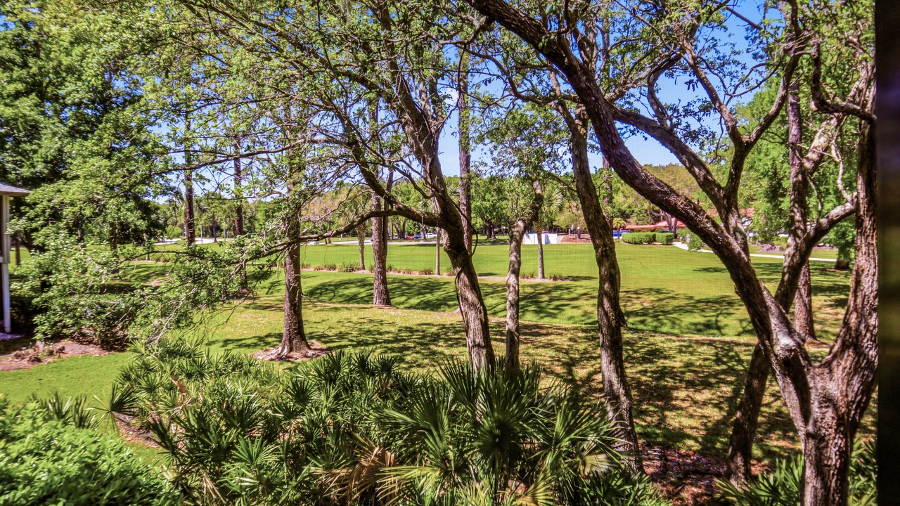 Photo of Others in Saint Augustine Shores