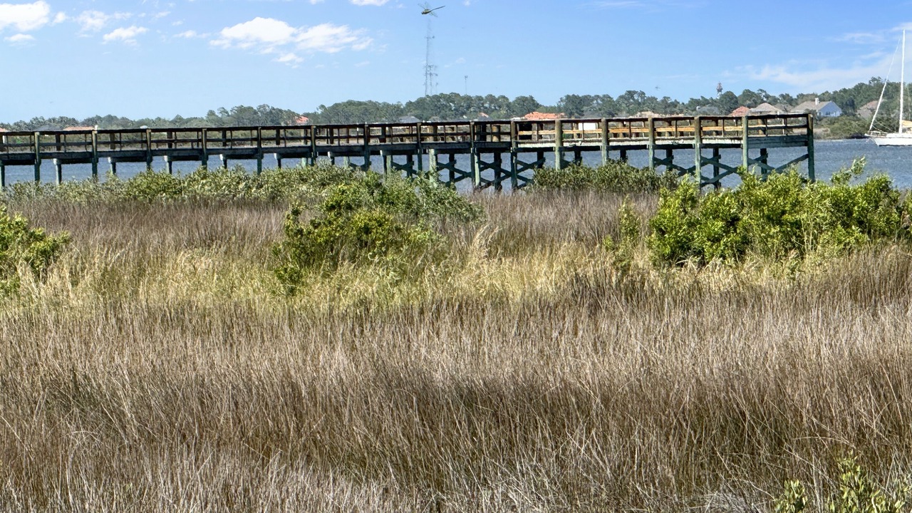 Photo of Others in Saint Augustine Shores