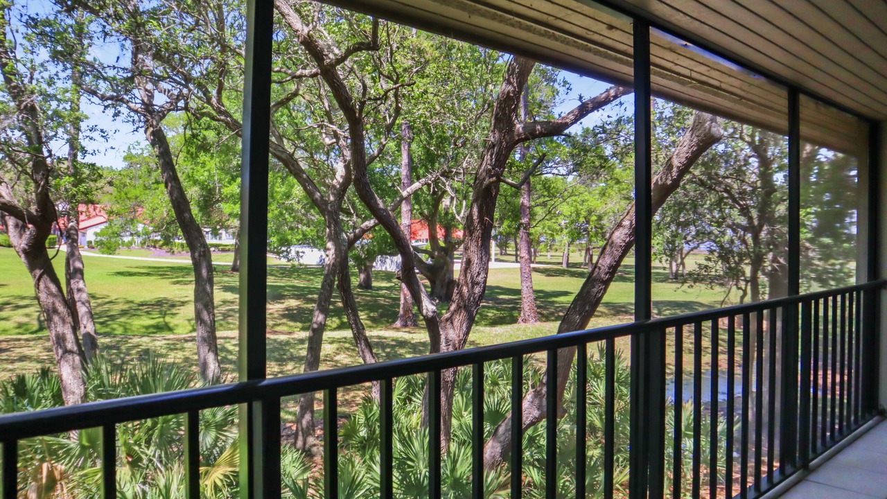 Photo of Outdoor in Saint Augustine Shores
