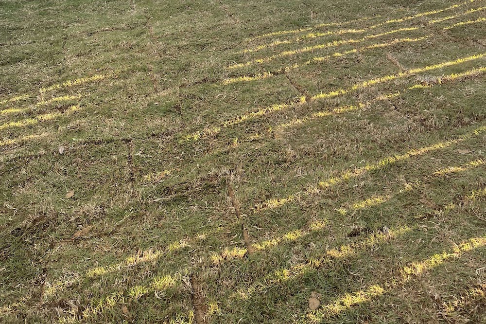 Photo of Outdoor in Wright