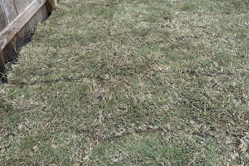 Photo of Outdoor in Wright