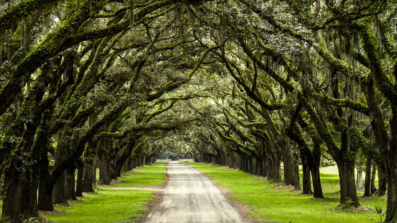 Photo of Others in Isle of Hope Historic District